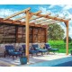 Andorra Aangebouwde Pergola van Ruw Hout 3x3m 9m2